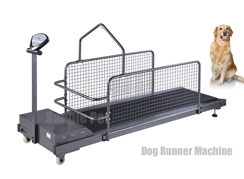 Dog Runner.jpg