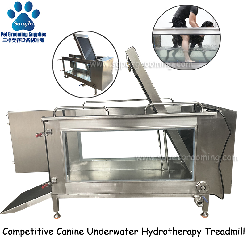 Standard Canine Underwater Treadmill-02.jpg