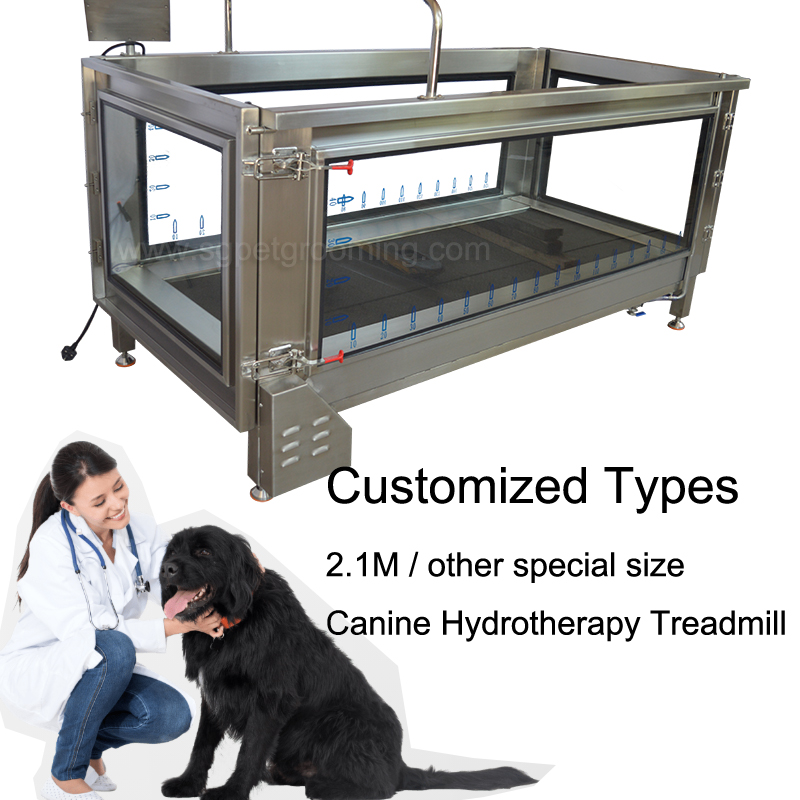 canine hydrotherapy treadmill-00.jpg