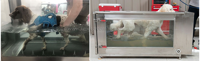 canine udnerwater treadmill for sale-01.jpg