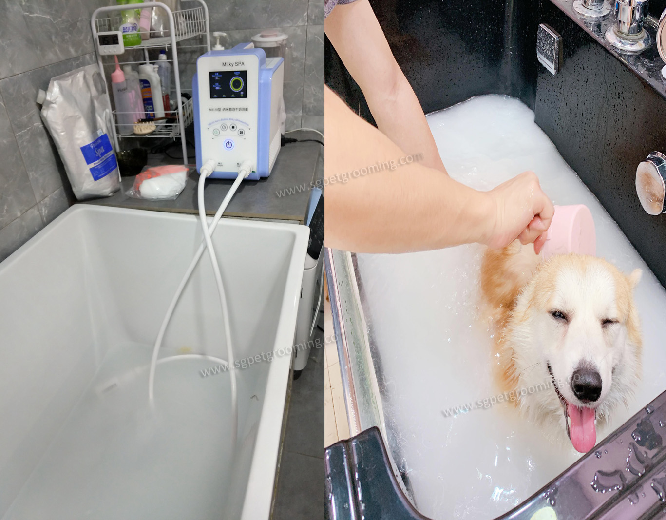 Microbubble ozone spa bath for pets-02.jpg