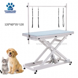 Electric Lifting Grooming Table Led Light For Pet Groomers